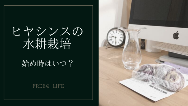 最適な始めどきはいつ 今年こそは ヒヤシンスの水耕栽培にチャレンジ Freeq Life フリークライフ